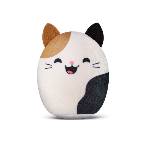2 - Squishmallows Cam
